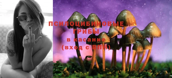 PSILOCYBIN Богданович